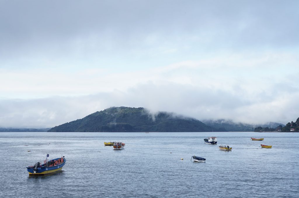 Botes en Niebla, Valdivia